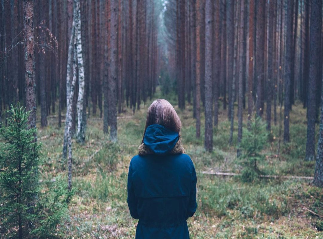 Why These Theories Spread: Understanding the Psychology