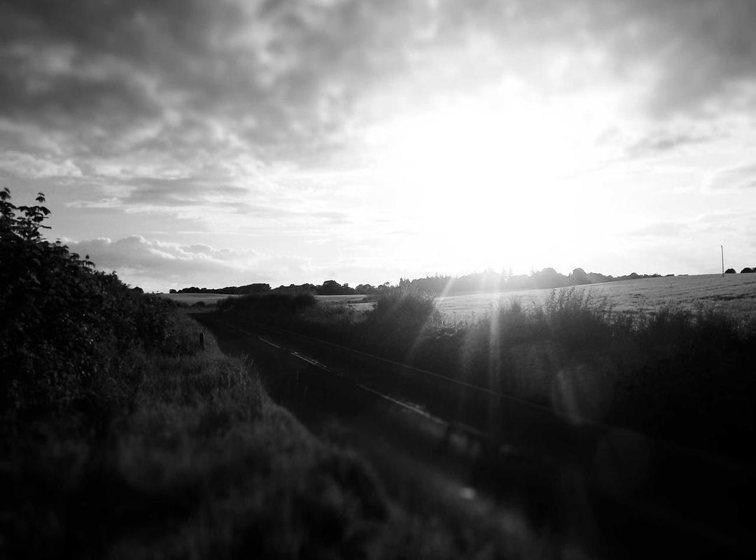 Unlocking the 1000x Barrel Roll: Scripts, Sites, and Secrets