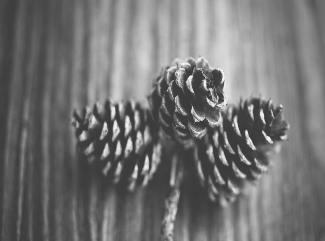 A Modern Man's Grooming Guide, Inspired by the Cast