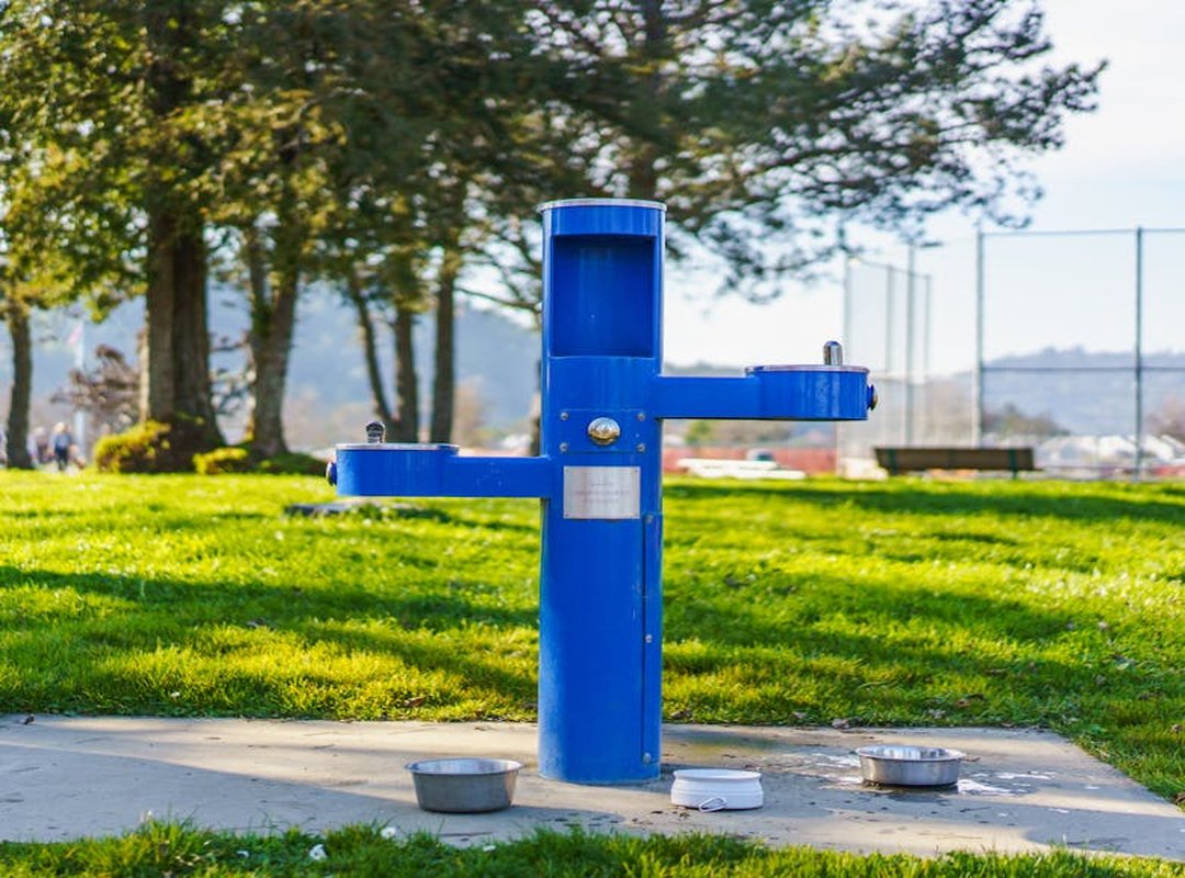 Nutrition Hacks Shmgnourishment