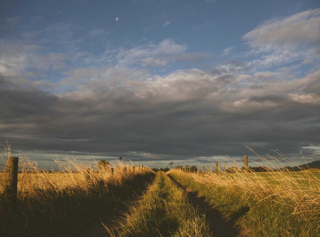 The Cons: What to Consider Before Committing