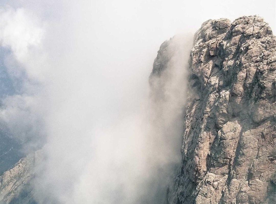 Decoding the Symbolism: Why Purity and Peril Collide