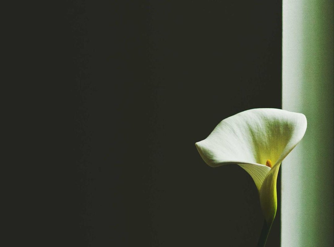 Who Should Use Trade 360 ProAir (And Who Should Avoid It)