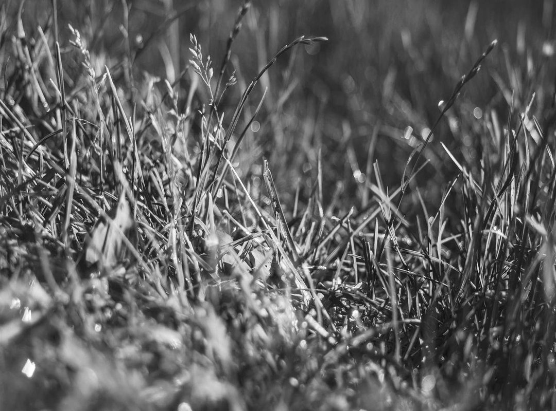 Comparisons: Vino Sanson Precio Ara vs. Competitors