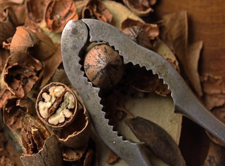 Which Nut Helps You Sleep Shmgnourishment