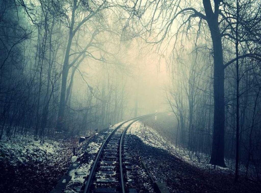 xxv xxviii, xxix xxvii xxiv, xxv